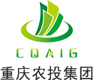 重庆市yl34511线路中心集团有限公司